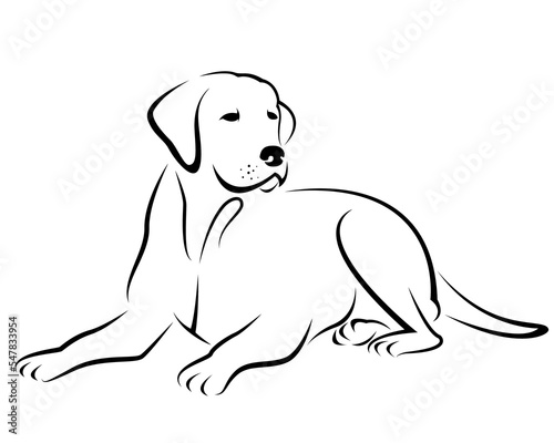 Image of a dog labrador design isolated on transparent background. Pet. Animals.
