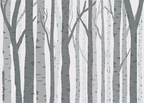 birch trees seamless pattern vector