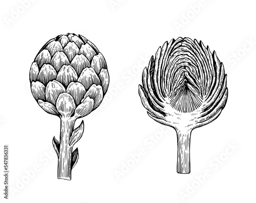 Artichoke illustration in black and white engraving retro style isolated on white background. Vector hand drawing