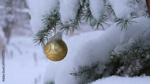 Golden Christmas ornament hanging outside in a snpw covered spruce tree. Snowflakes fall through the scene.
 photo