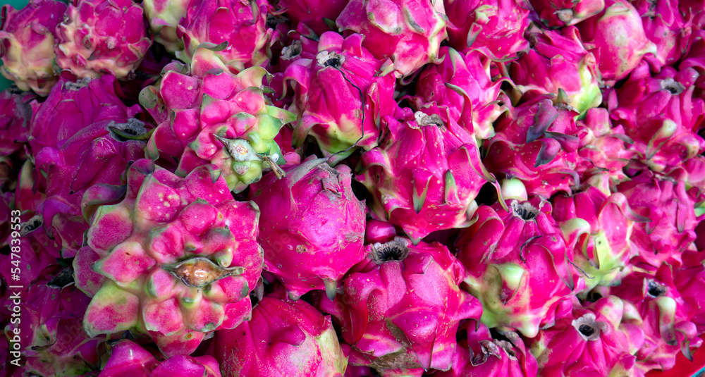 Red Pitaya fruits, dragon fruit, the fruit of several different cactus species indigenous to the America