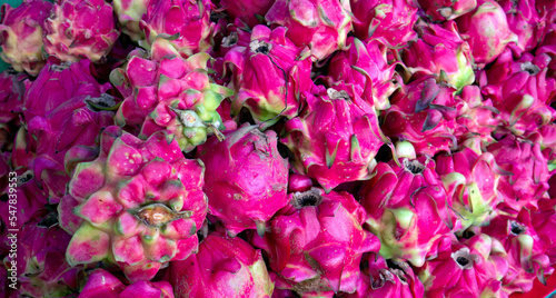 Red Pitaya fruits  dragon fruit  the fruit of several different cactus species indigenous to the America