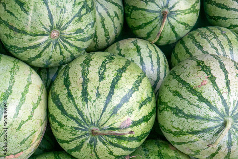 Fresh watermelons on shelves in  supermarket