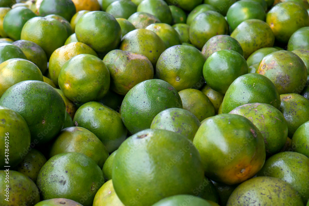 A pile of green oranges in the supermarket A pile of green oranges in the supermarket