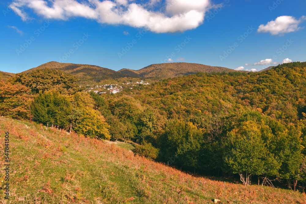 Mountains with colorful autumn trees under a cloudy blue sky. Beautiful view of the stunning mountain landscape. Autumn forest in warm colors in the mountains on a sunny day. 