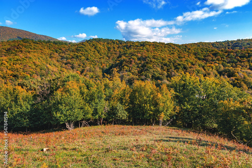 Mountain landscape with autumn forest in yellow-red foliage. Mountains with colorful autumn trees under a cloudy blue sky. Beautiful view of the stunning mountain landscape. Autumn forest in warm colo