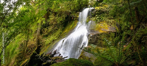 waterfall in the rainforest