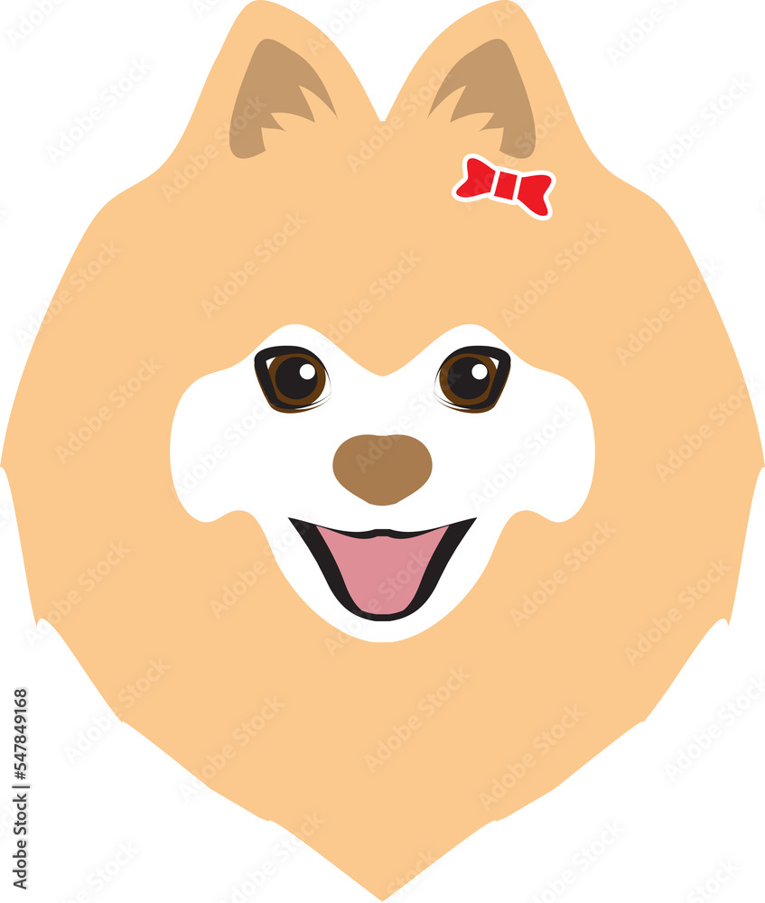 Fototapeta premium Pomeranian dogs png