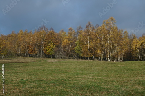 Herbstliche Landschaft im Sauerland 