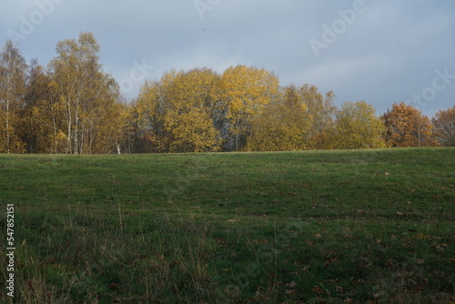 Herbstliche Landschaft im Siegerland mit Gräsern und Steppe, Betula pendula © darknightsky