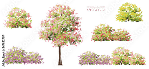 Vector watercolor blooming flower,tree or forest side view isolated on white background for landscape and architecture drawing,elements for environment and garden,botanical for section in spring 
