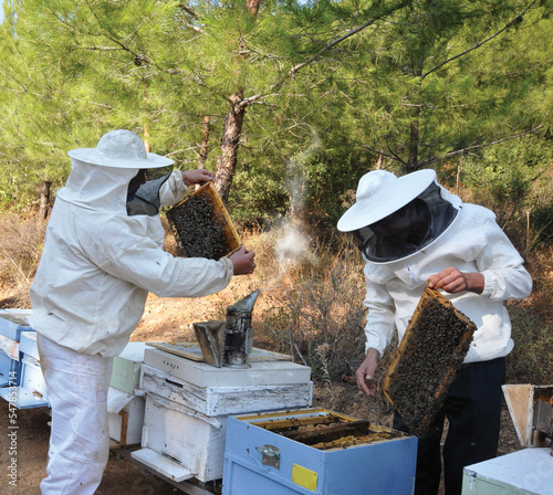 beekeepers get honey from honeycombs