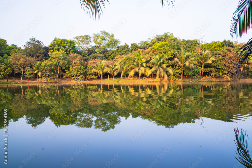 Natural landscape view Reflection of trees in the lake water against blue sky