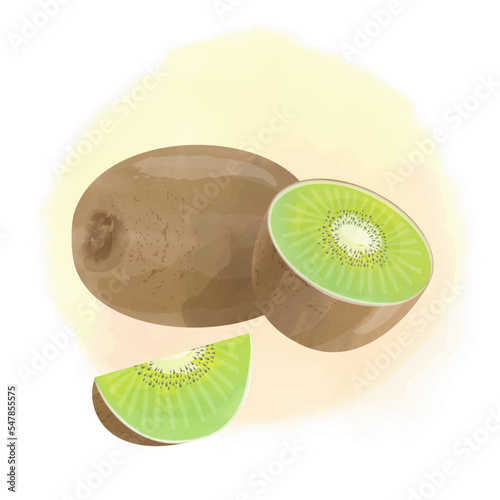 Watercolor illustration style fruit kiwi fruit with whole and halved