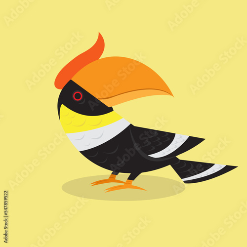 Colorful hornbill 