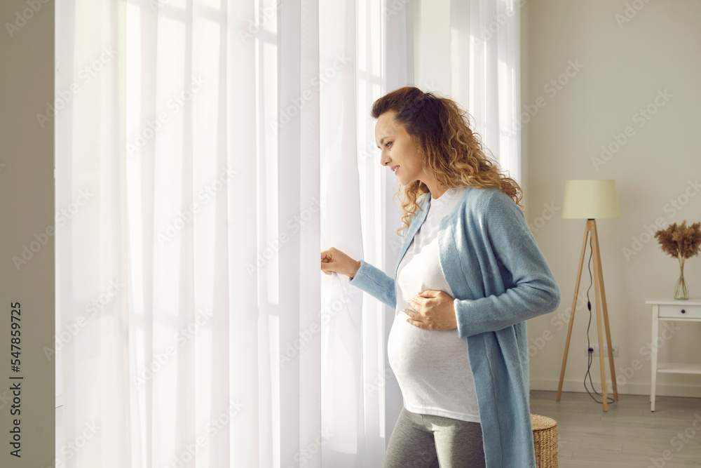 Smiling young Caucasian pregnant woman look in window miss at home on lockdown. Happy healthy female spend pregnancy indoors on covid-19 quarantine. Motherhood and childbirth concept. Smiling young Caucasian pregnant woman look in window miss at home on lockdown. Happy healthy female spend pregnancy indoors on covid-19 quarantine. Motherhood and childbirth concept.