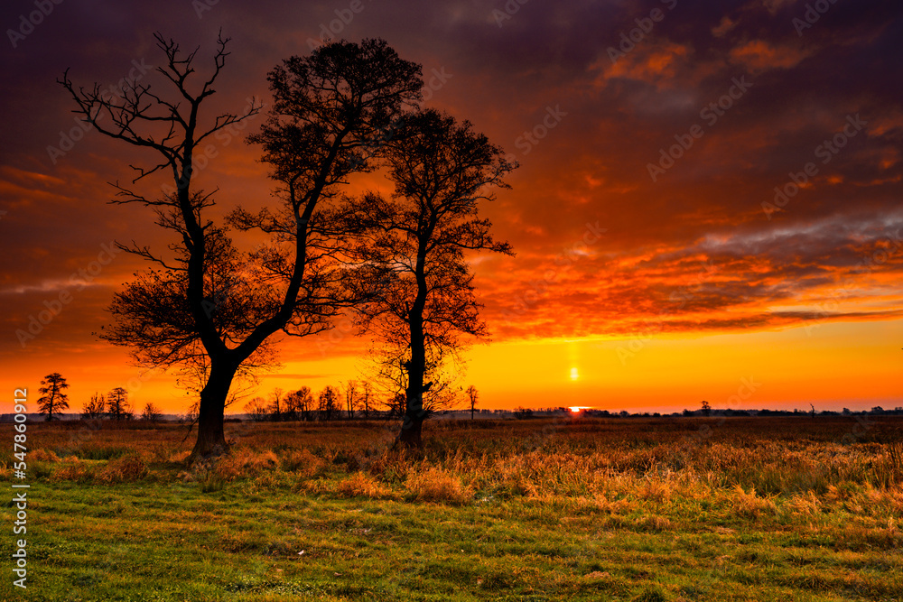 Naklejka premium Sunset