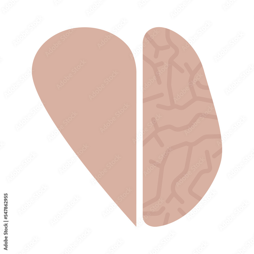 The half of the heart as a whole with the half of the brain. Agreement between the mind and emotions. Flat style. Vector The half of the heart as a whole with the half of the brain. Agreement between the mind and emotions. Flat style. Vector