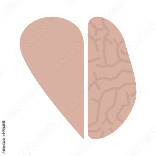The half of the heart as a whole with the half of the brain. Agreement between the mind and emotions. Flat style. Vector
