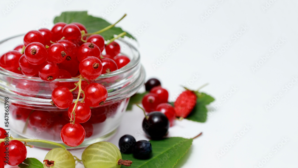 Bowl of healthy fresh berry fruit salad on white background. Berries overhead closeup colorful assorted mix of strawberry, blueberry, blackberry, red currant Bowl of healthy fresh berry fruit salad on white background. Berries overhead closeup colorful assorted mix of strawberry, blueberry, blackberry, red currant