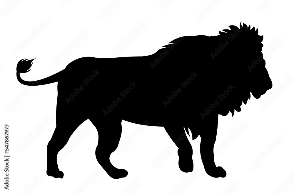 Lion standing African savanna predator. Silhouette picture. Dangerous animal in natural conditions. Isolated on white background. Vector.