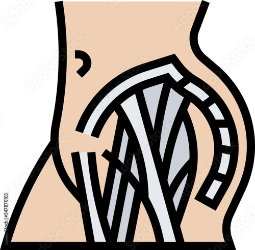 gluteus icon