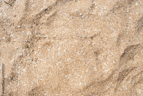 Background of small shells and sea sand. The texture of the sand on the beach. Sand texture background, small shells, broken coral, natural sand on the sea beach