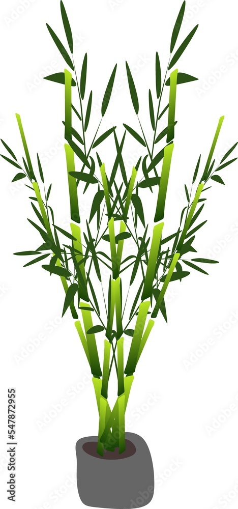 Obraz premium Abstract background. The illustrations and clipart. Bamboo plant in a vase.