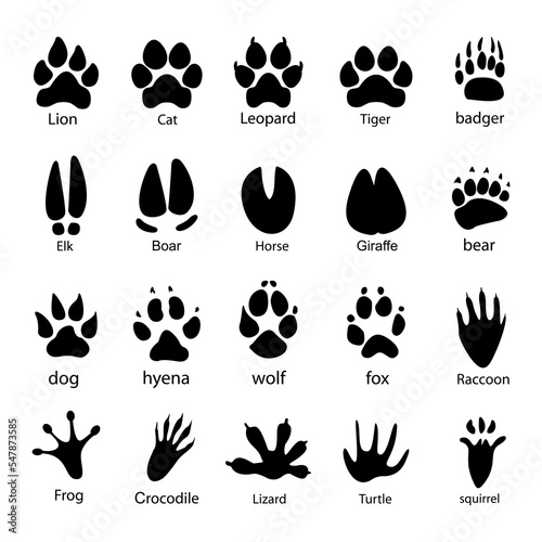 Various traces of cloven hoofed animals Boar, giraffe, horse, elk vector illustration design isolated