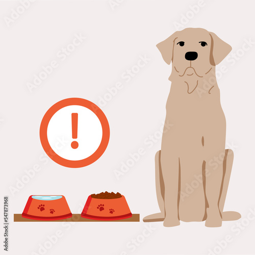 The dog sits next to the bowl. Food for the dog. Empty and full food bowl. Reminder sign.