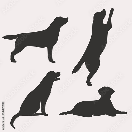Labrador dog illustration. Set poses standing jumping. Various actions. silhouette  © Александра Лисовская