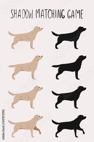 Labrador dog illustration. Set pos. Find the shadow game. Full color and silhouette.