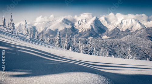 Untouched winter landscape. Snowy winter scene of mountain valley with fir trees covered by fresh snow in Carpathian mountains. Bright winter landscape of snowy valley.