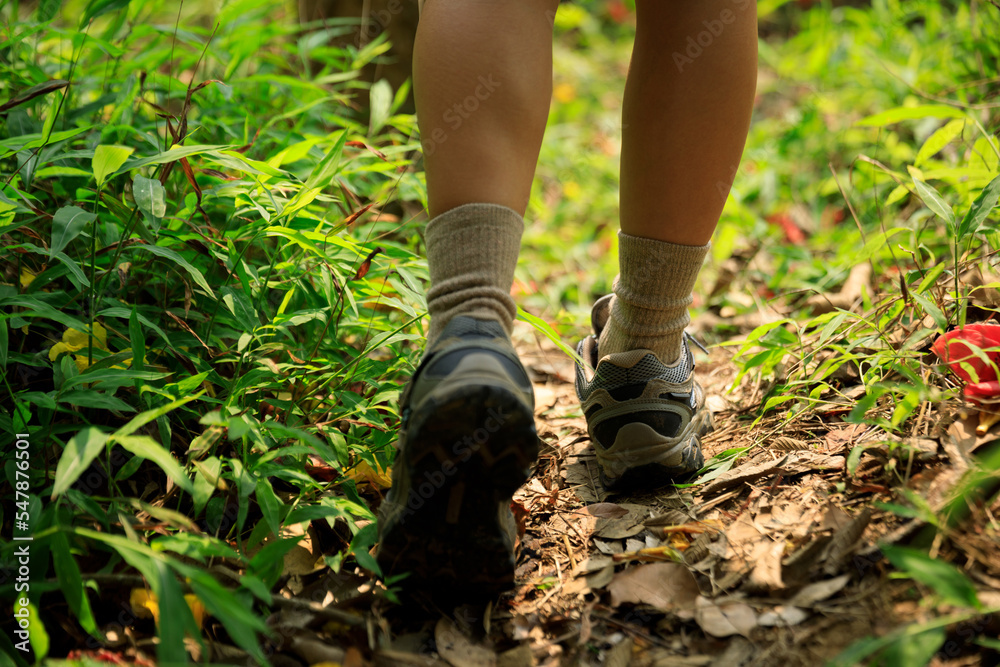 Woman hiker legs walking on trail in spring forest Woman hiker legs walking on trail in spring forest