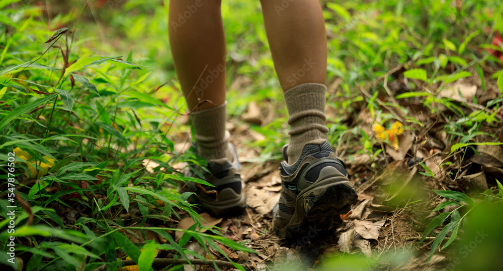 Woman hiker legs walking on trail in spring forest Woman hiker legs walking on trail in spring forest