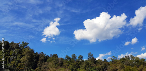 ฺBeautiful blue sky with white cloud and green tree, forest or jungle with cop space on above for add text. Beauty of nature and Natural wallpaper. Freshness air and cloudscape view.