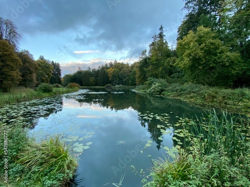 pond covered with plants around park with different colors of trees and bushes in autumn blue sky covered with clouds
