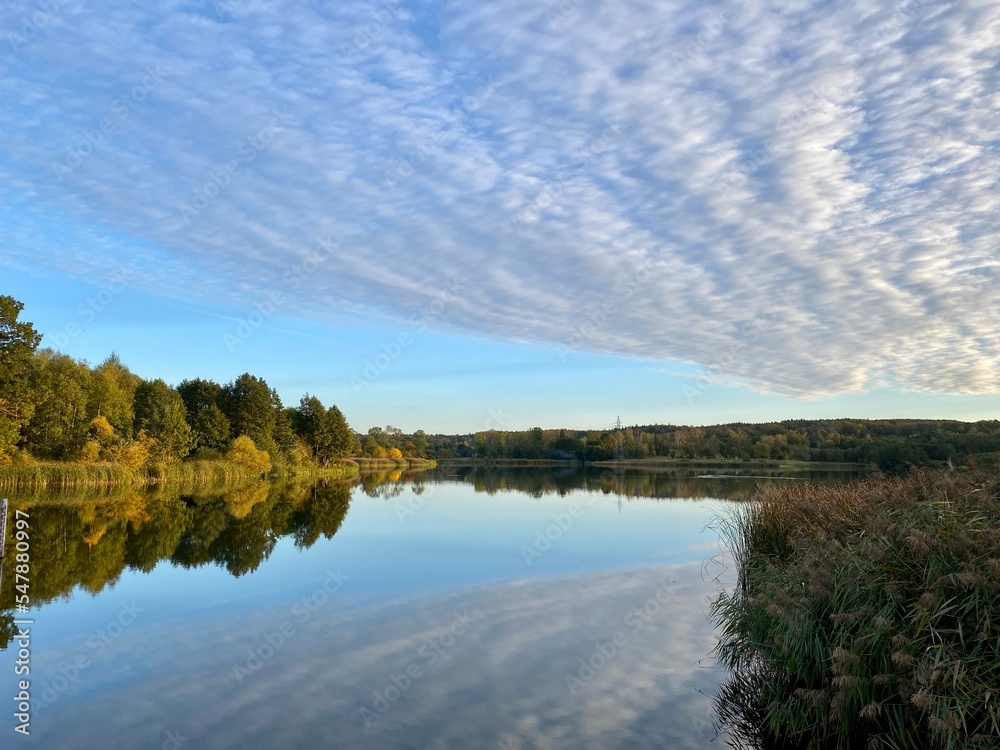 a body of water covered with plants around a park with different colors of trees and bushes in autumn