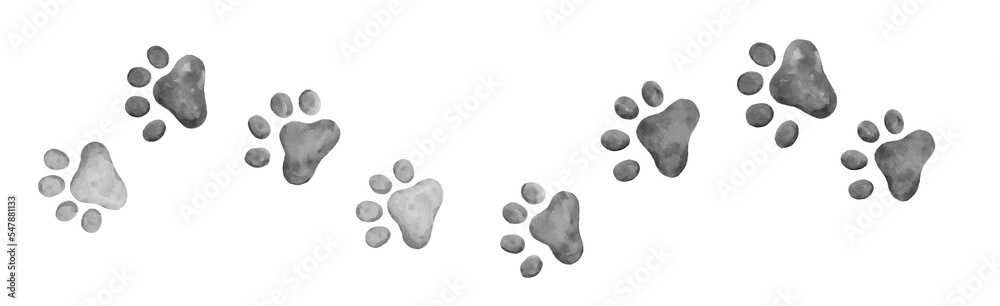 cat paw prints walking right and left gray or black and white watercolor border element cat paw prints walking right and left gray or black and white watercolor border element