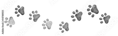 cat paw prints walking right and left gray or black and white watercolor border element