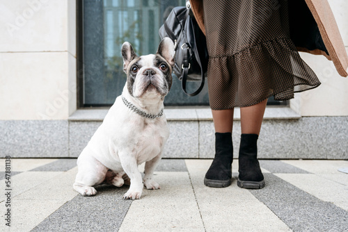 Woman with french bulldog sitting on footpath photo