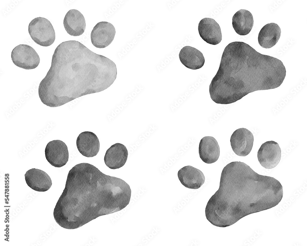 cat paw prints collection of 4 in black and white - obrazy, fototapety, plakaty 