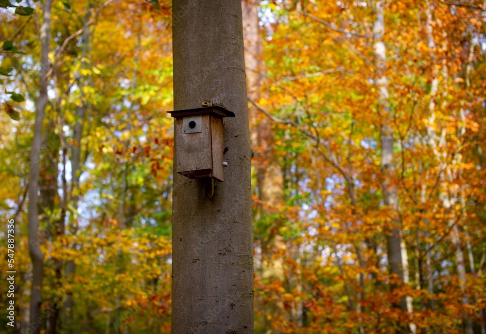 bird house in autumn bird house in autumn