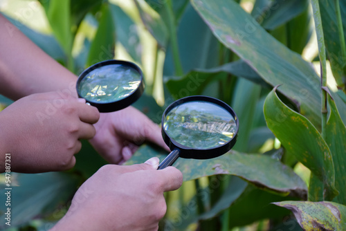 Two small black magnifying glasses holding in hands and were used during the summer camp to study microorganisms in plants and plants diseases.