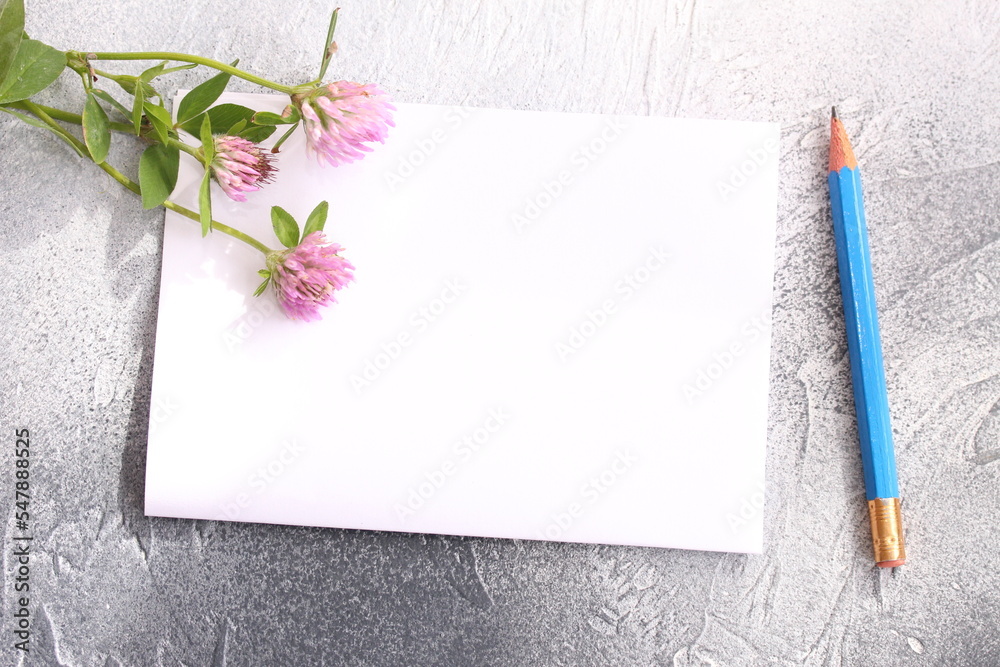 Paper sheet note. Mock up with empty blank and sprigs of clover. Top view. Sweet moments in cozy home.
Paper sheet note. Mock up with empty blank and sprigs of clover. Top view. Sweet moments in cozy home.