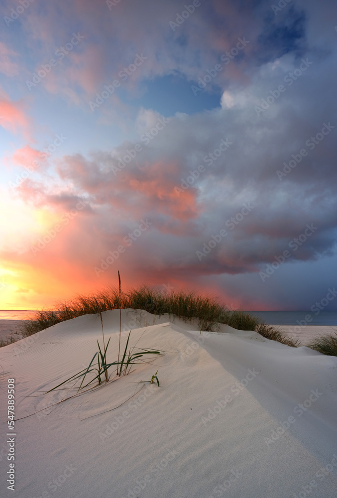 Krajobraz wybrzeża Morza Bałtyckiego, wydma , biały piasek, zachód słońca, Kołobrzeg, Polska - obrazy, fototapety, plakaty 