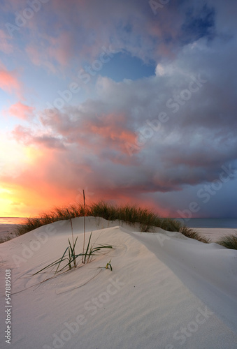 Krajobraz wybrzeża Morza Bałtyckiego, wydma , biały piasek, zachód słońca, Kołobrzeg, Polska