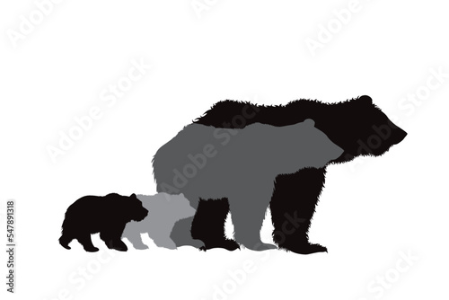 A family of bears.