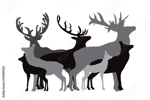 Collection of deers.
