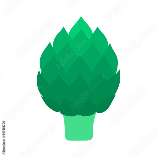 Fresh artichoke  isolated on white background.